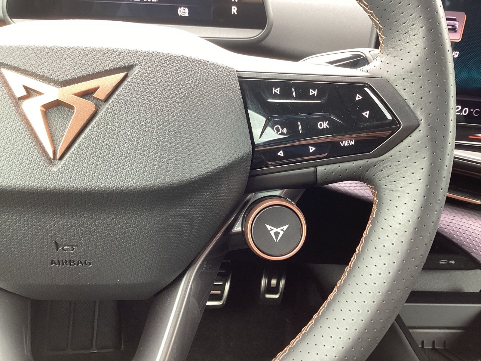 Cupra Tavascan - Bild 17