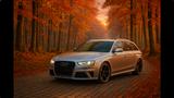 Audi RS4 4.2 FSI S-tronic Quattro - Audi exclusive  - gebrauchte Audi RS4 aus dem Jahr 2014