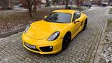 Porsche Cayman S S - Porsche: Gelb