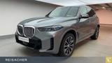 BMW X5 xDrive40d A M-Sport,AHK,DAProf,Autom - graue BMW X5