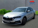 Skoda Octavia 2.0 TDI DPF Clever Navi Digitales Cockpi - Skoda Octavia Gebrauchtwagen in Rostock