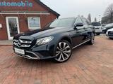Mercedes-Benz E 350 d  All-Terrain.4MATIC PANO+LEDER+AHK+CAM - mit Diesel-Antrieb: Grün, Panorama-Dach, Kombi