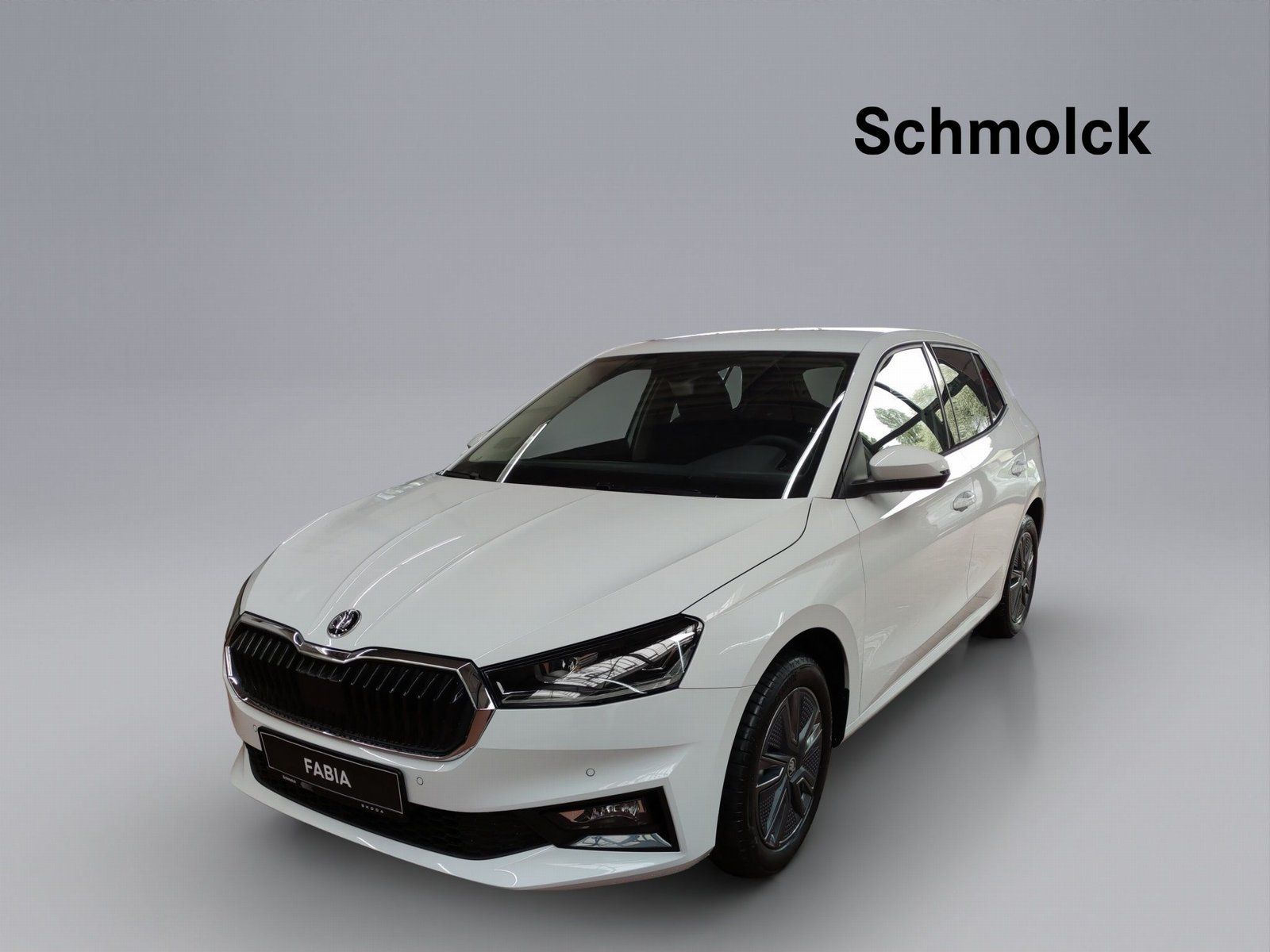 Skoda Fabia Balance 1.0 TSI 95 PS LED ACC SHZ PDC LED