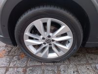 Volkswagen Taigo - Vorschau Bild 6