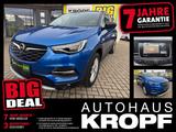 Opel Grandland X 1.2 Turbo Ultimate LED+Navi+SHZ+360 - Opel Grandland (X) in Nürnberg