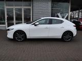 Mazda 3 M-Hybrid G-150 Selection NAVI ACAA SHZ HUD MRC - Mazda aus 2021