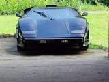 Other Lamborghini Countach Replika Gitterrohrrah... - Other mit Benzin-Antrieb: Replika