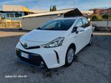 Toyota Prius+ 1.8 Lounge 7 posti solo 75 mila km - Toyota Prius: Sol