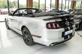 Ford Mustang 3,7 CABRIO PREMIUM ROUSH LEDER KLIMA - Ford Mustang: 3.3