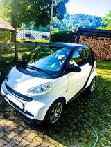 Smart 451 Coupé - Smart ForTwo mit Diesel-Antrieb: Kleinwagen