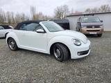 Volkswagen Beetle Cabriolet Cup Bi-Xenon*Leder*Navi* - gebrauchte Volkswagen Beetle aus dem Jahr 2014