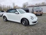 Volkswagen Beetle Cabriolet Cup Bi-Xenon*Leder*Navi* - Volkswagen Beetle aus 2014