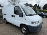 Fiat Ducato benziner Kastenwagen 1Hand mit... - Fiat Ducato mit Benzin-Antrieb