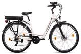 Hollandia E-Citybike 28" Zagon Hollandia - Offers