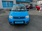 Fiat Panda 1.2 Climbing 4X4 überholter Motor bei 160t - Fiat Panda: Allradantrieb