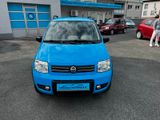 Fiat Panda 1.2 Climbing 4X4 überholter Motor bei 160t - Fiat Panda: Allradantrieb