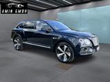 Bentley Bentayga 6.0 First Edition1 , 4 Sitzer Luftfeder - Bentley Bentayga Gebrauchtwagen