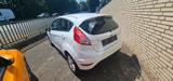 Ford Fiesta 5-Türer 1.0 EcoBoost Aut. Titanium Navi C - Ford Fiesta: Weiß, Türer