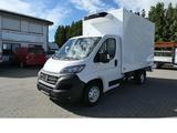 Fiat Ducato Kühlkoffer Klima Navi CAM 9G-Tronik - Offers