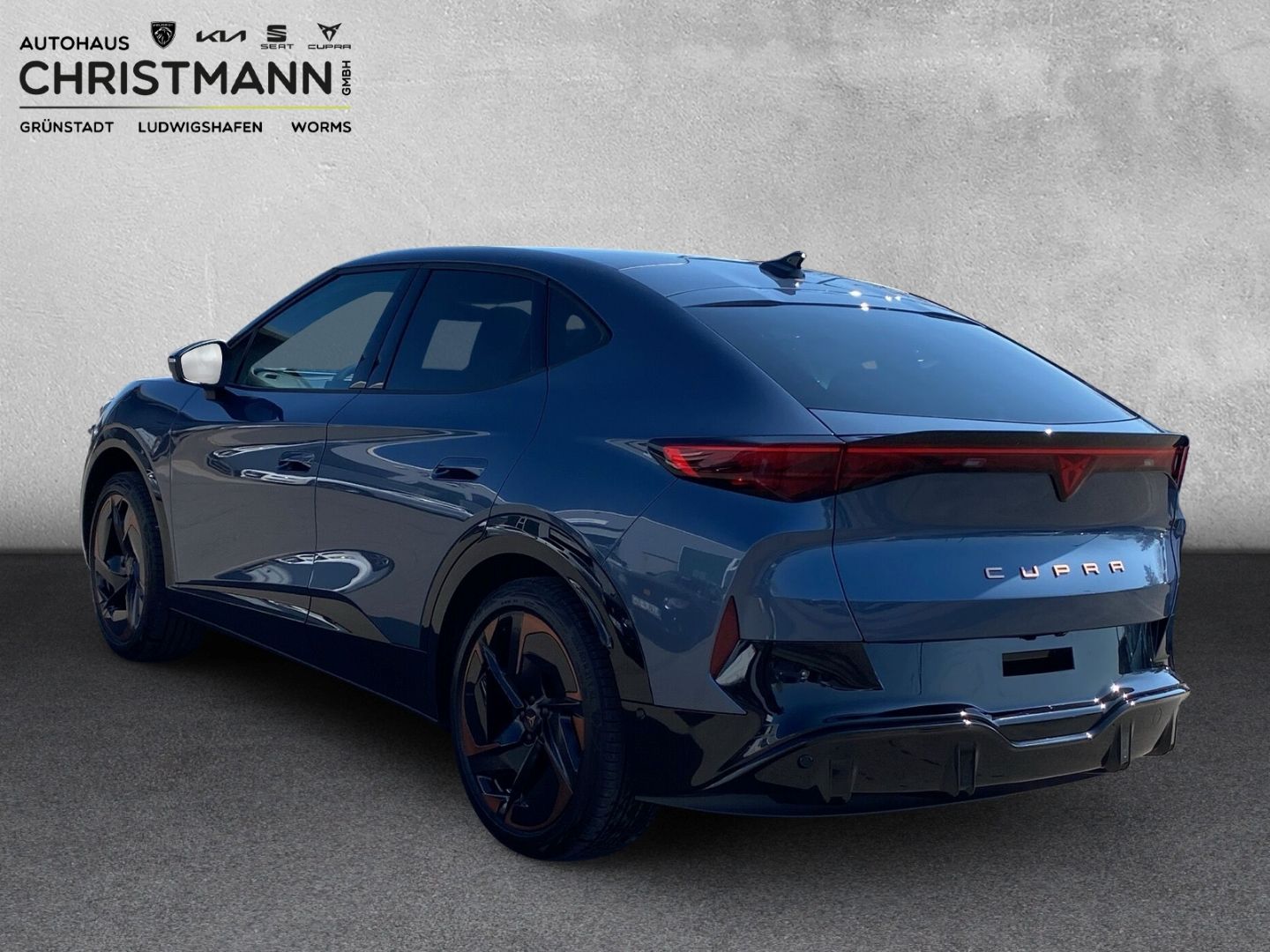 Fahrzeugabbildung CUPRA Tavascan 210 kW Endurance HUD AD El. Panodach Na