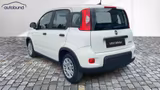 Fiat Panda 1,0 Hybrid (MHEV) Base DAB PDC - Fiat Panda in Chemnitz