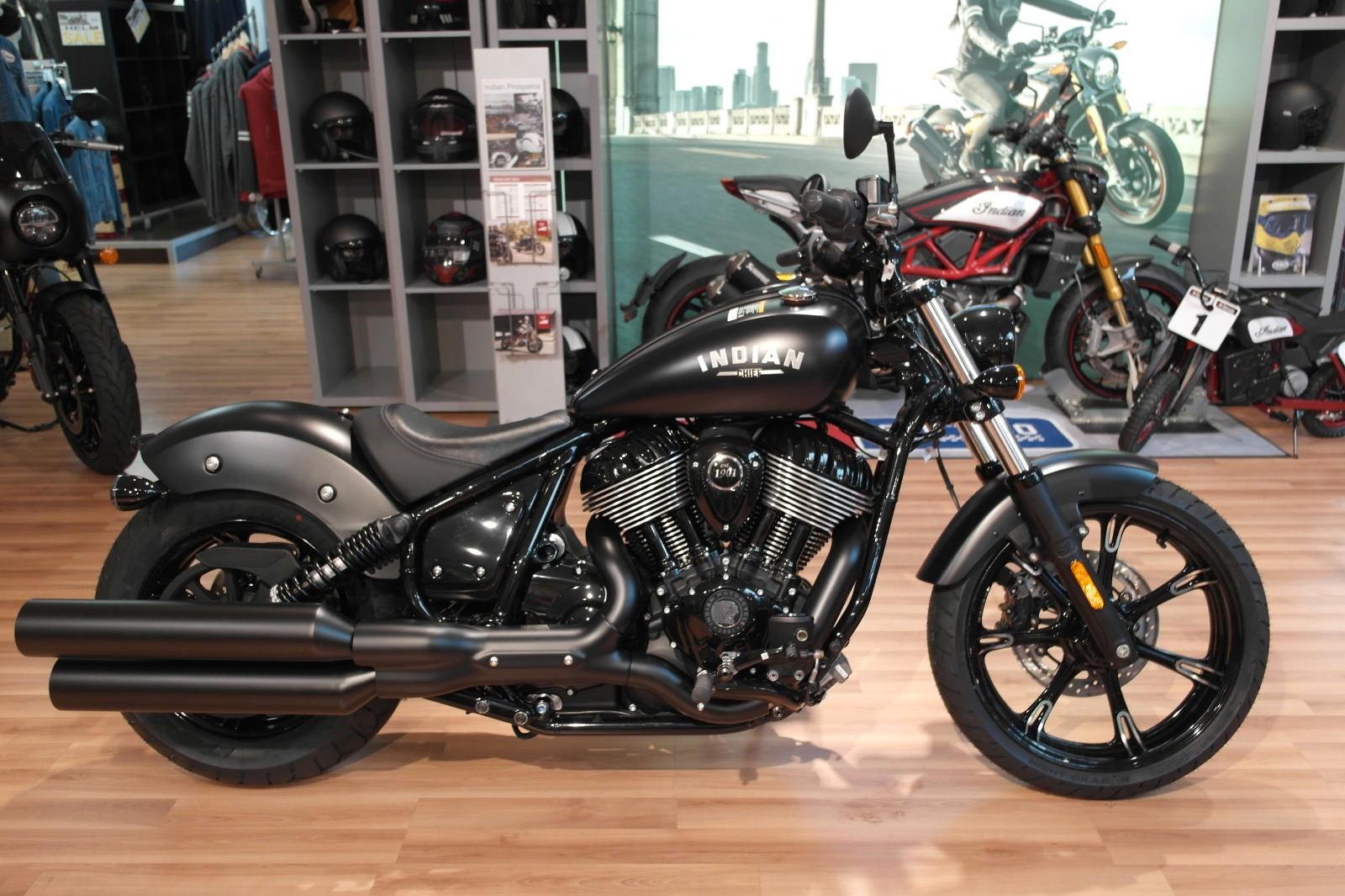 Indian Chief Dark Horse