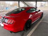 Ford Mustang 2.3 / Schalter / Liebhaberfahrzeug - Ford Mustang aus 2017