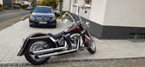 Harley-Davidson FLSTN   Cicano - Harley-Davidson Motorräder in Kassel