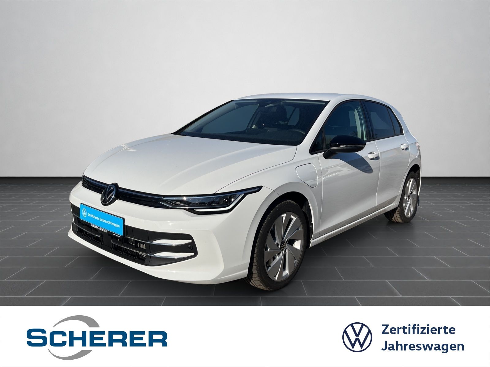 Volkswagen Golf VIII 1.5 TSIe DSG Goal SHZ RFK LED ACC DAB