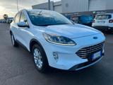 Ford Kuga 1.5 EcoBlue 120 CV aut. 2WD Titanium - Ford Kuga mit Diesel-Antrieb: Kombi, Automatik