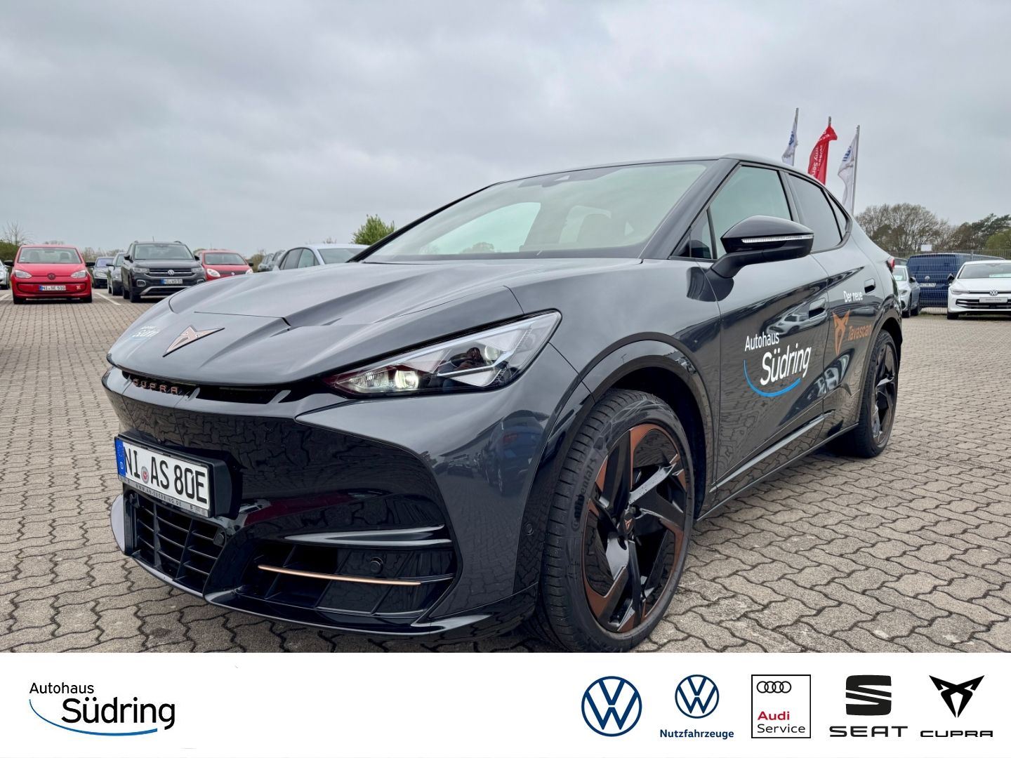 Tavascan Endurance 77kWh HUD Navi Sennheiser