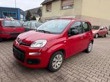 Fiat Panda Pop, 1. Hand, 96000 km, Klima, Tüv 7/27! - Fiat Panda Kleinwagen Km h mit Benzin-Antrieb