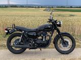 Kawasaki W800 Black Edition - Offers