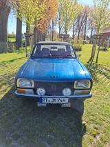 Peugeot 304 - Peugeot 304: Privatanbieter