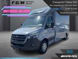 Mercedes-Benz Sprinter 319 CDI Pferdetransporter TEMP|LED - Tier-/Pferdetransport 3 pferde