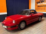 Alfa Romeo STUPENDA ALFA ROMEO SPIDER QUADRIFOGLIO VERDE IN - gebrauchte Alfa Romeo Spider aus dem Jahr 1987