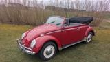 Volkswagen 1965 VW Käfer 1300 Cabriolet Type 15 - Volkswagen aus 1965: Kaefer
