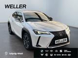 Lexus UX 250h Style Edition *Bi-LED*ACC*Kamera*SHZ*PDC - Lexus aus 2023
