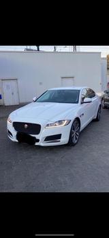 Jaguar XF 30d British Design Edition Automatik Brit... - Jaguar XF: 30d