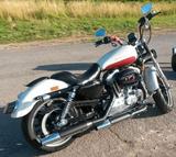 Harley-Davidson Sportster Super Low XL883L - Offers matching your search criteria