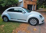 Volkswagen Beetle / Käfer fender Edition - Volkswagen Beetle: Fender Edition