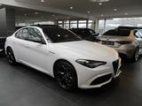 Alfa Romeo Giulia 2.0 Turbo 16V Q4 Estrema - Alfa Romeo Giulia in Dortmund