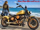 Harley-Davidson Softail Twin-Service 1340 EVO Springer Bobber - Offers