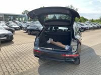 Audi Q5 - Vorschau Bild 23