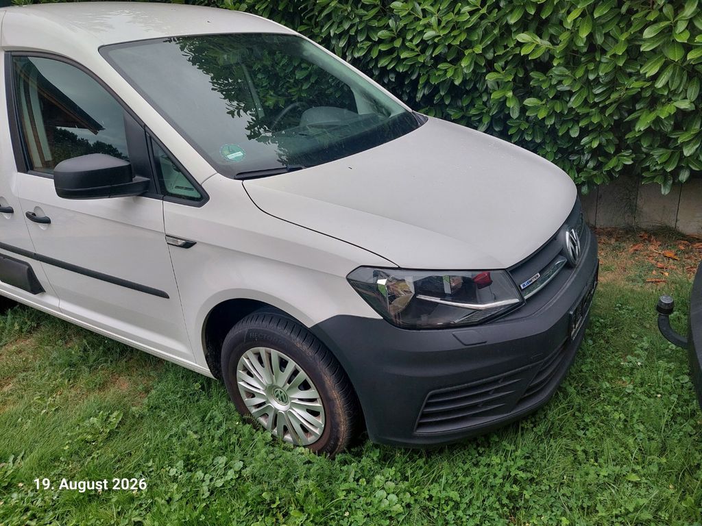 Image of Volkswagen Caddy Maxi
