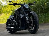 Harley-Davidson v-rod vrscdx umbau custom - Angebote
