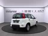 Fiat Panda PANDINA Hybrid 70 PS, Allwetter, Gelato We - Fiat Panda Pandina mit Hybrid-Antrieb (Benzin/Elektro)