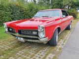 Pontiac PONTIAC GTO 1967 EINMALIG !!! - Pontiac GTO Gebrauchtwagen