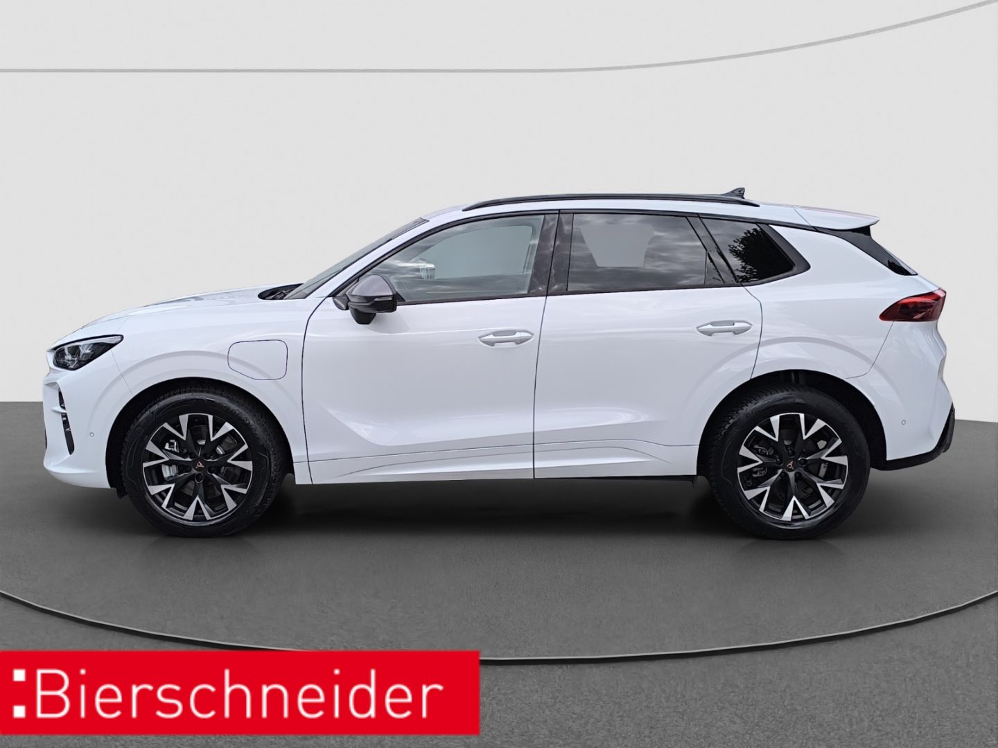 Cupra Terramar - Bild 4
