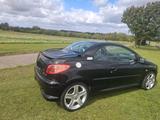 Peugeot 206cc RC-LINE - Peugeot 206: Rc Line